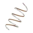 Ledvance LED Strip Performance 78W 9125lm 24v - 965 Daglicht | 5M/8mm - Beste Kleurweergave