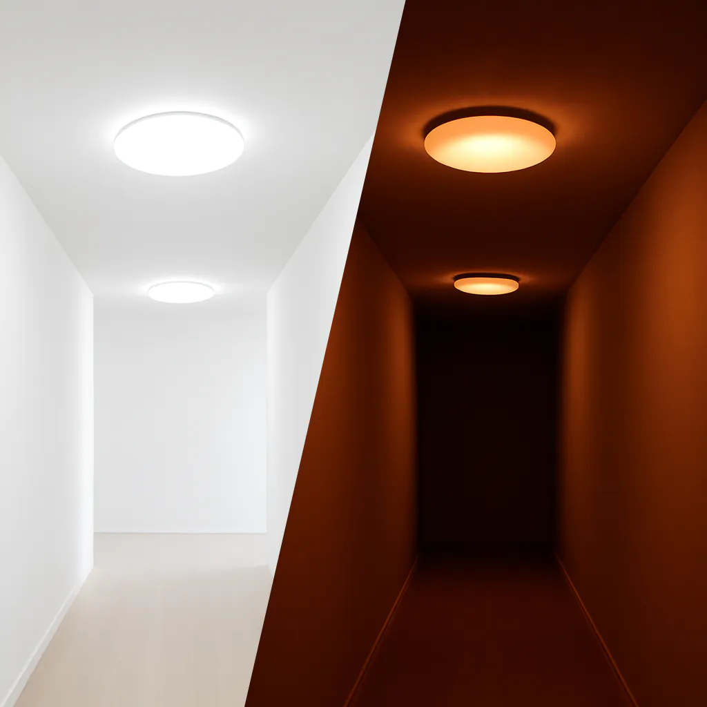 Noxion Corido Pro V2 in gang